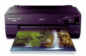 Epson Sure Color P800